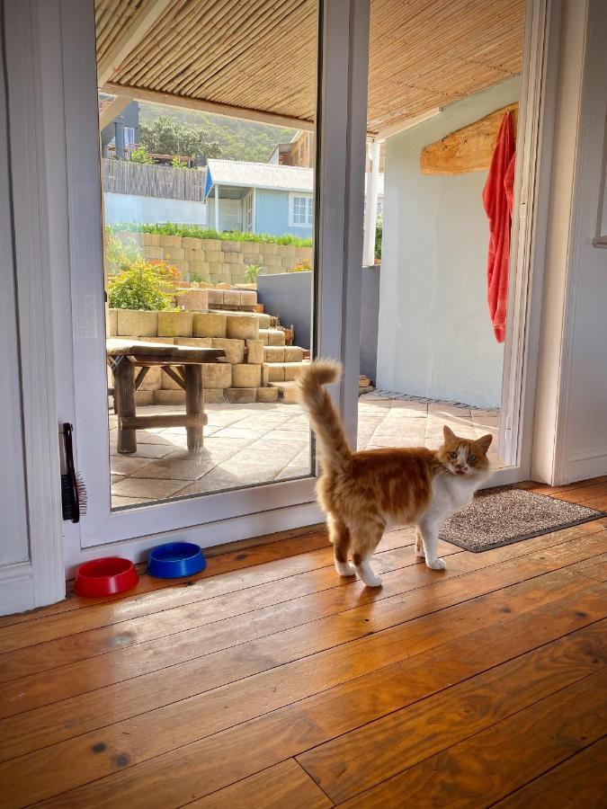 Villa Amanzi Hout Bay Luaran gambar